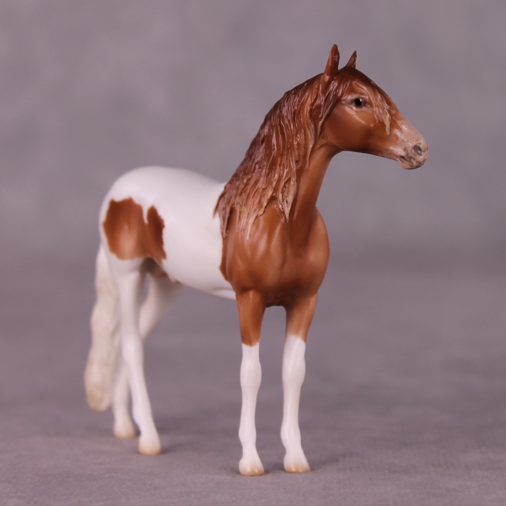 "Wolworth" OOAK Andalusian Chip By Jess Hamill - Menagerie Series