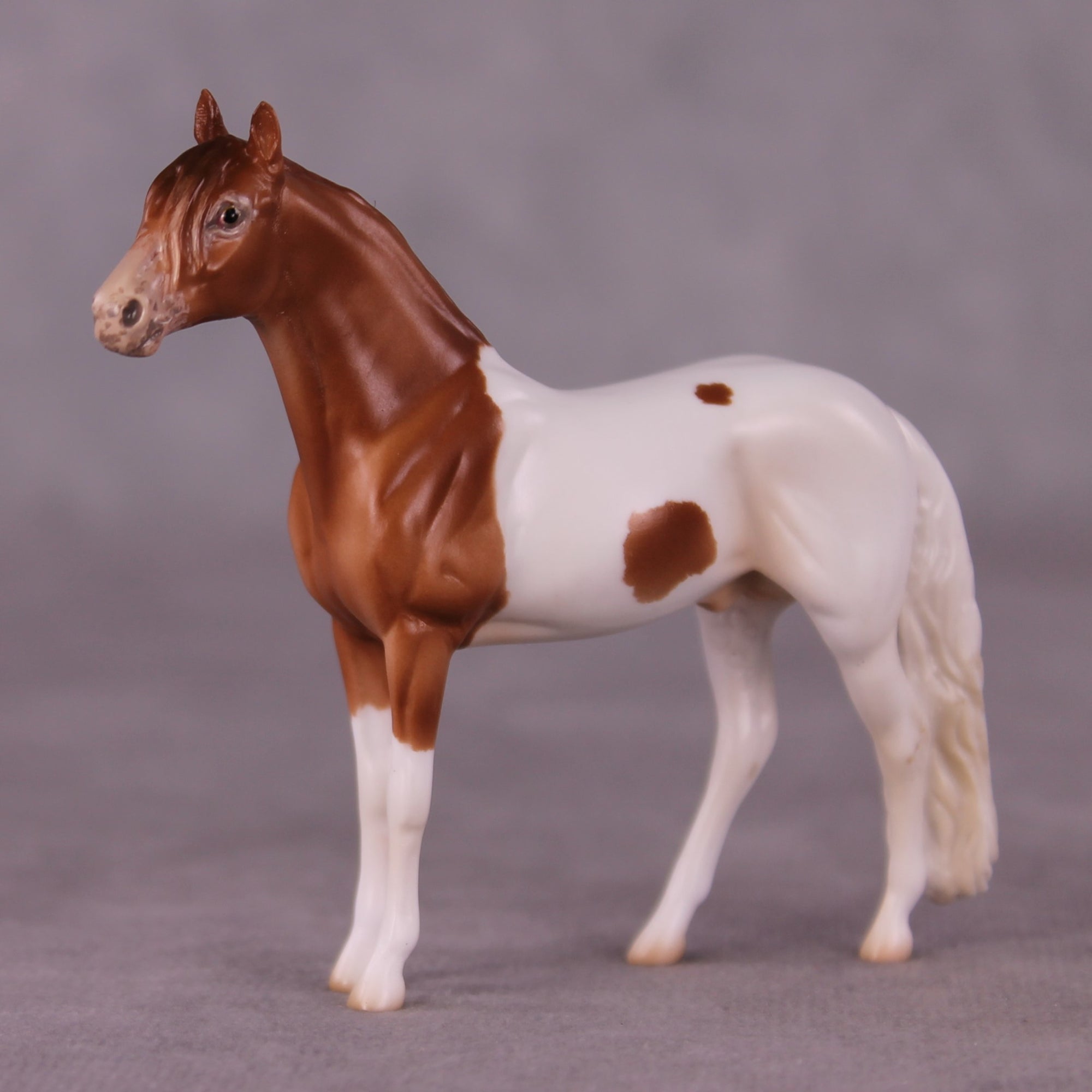 "Wolworth" OOAK Andalusian Chip By Jess Hamill - Menagerie Series