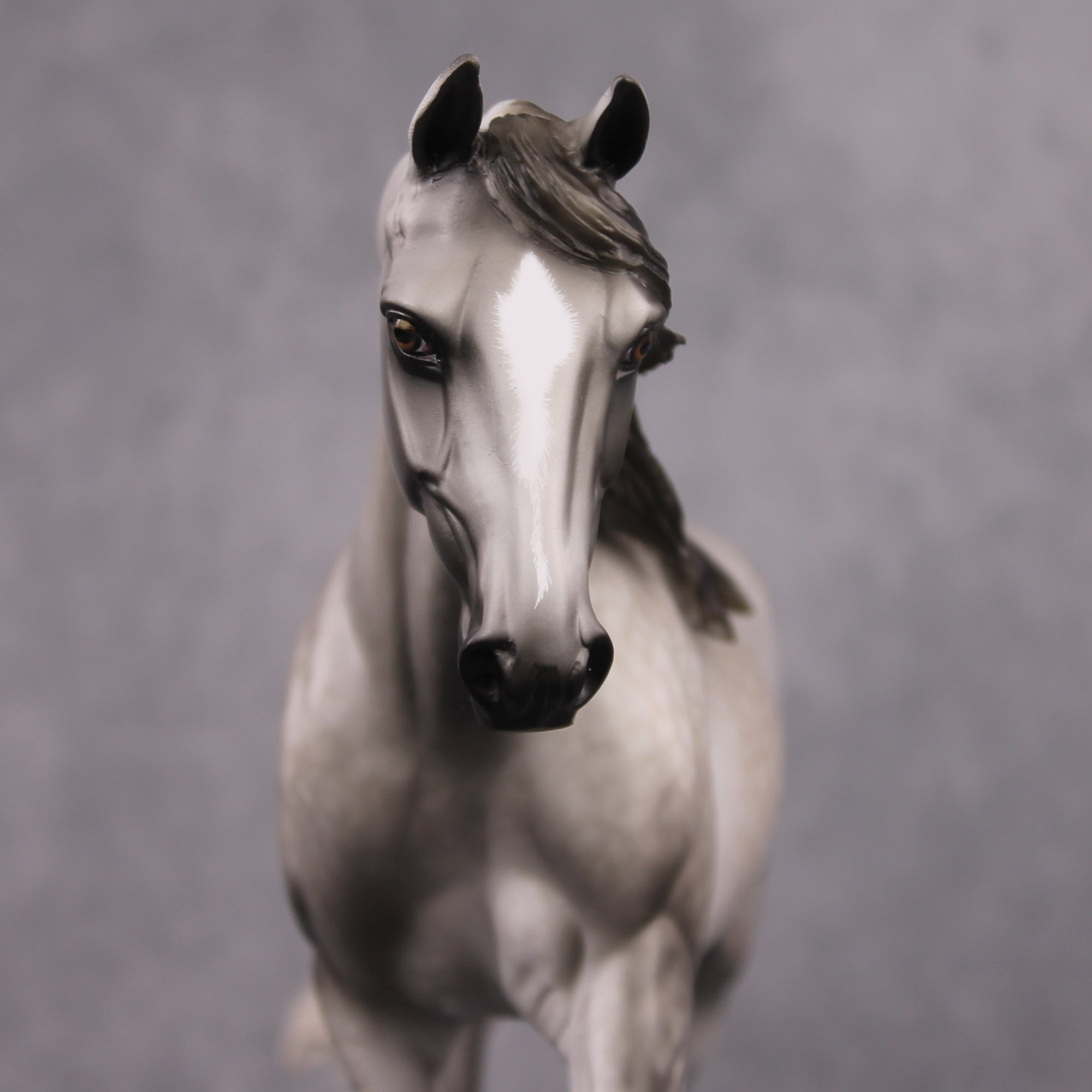 &quot;Argentate&quot; OOAK Custom Dapple Grey Palouse By Sheryl Leisure Best Offer 03/04/2025