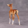 PREVIEW LISTING ONLY Sprinkle of Paprika OOAK Chestnut Foal Chip By Ellen Robbins MM24 Online Drawing Piece