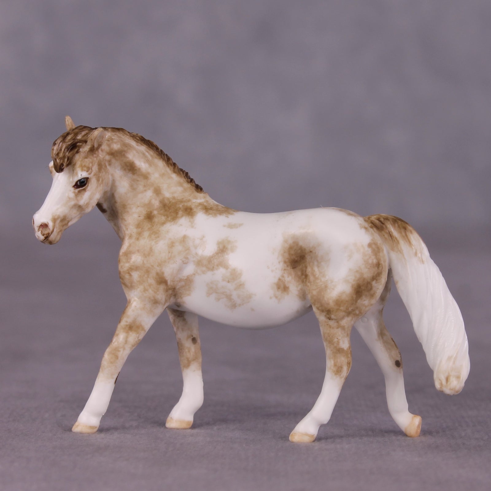 "Tuddy" OOAK FCM Pony Chip by Andrea Thomason SHCF25