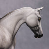 &quot;Argentate&quot; OOAK Custom Dapple Grey Palouse By Sheryl Leisure Best Offer