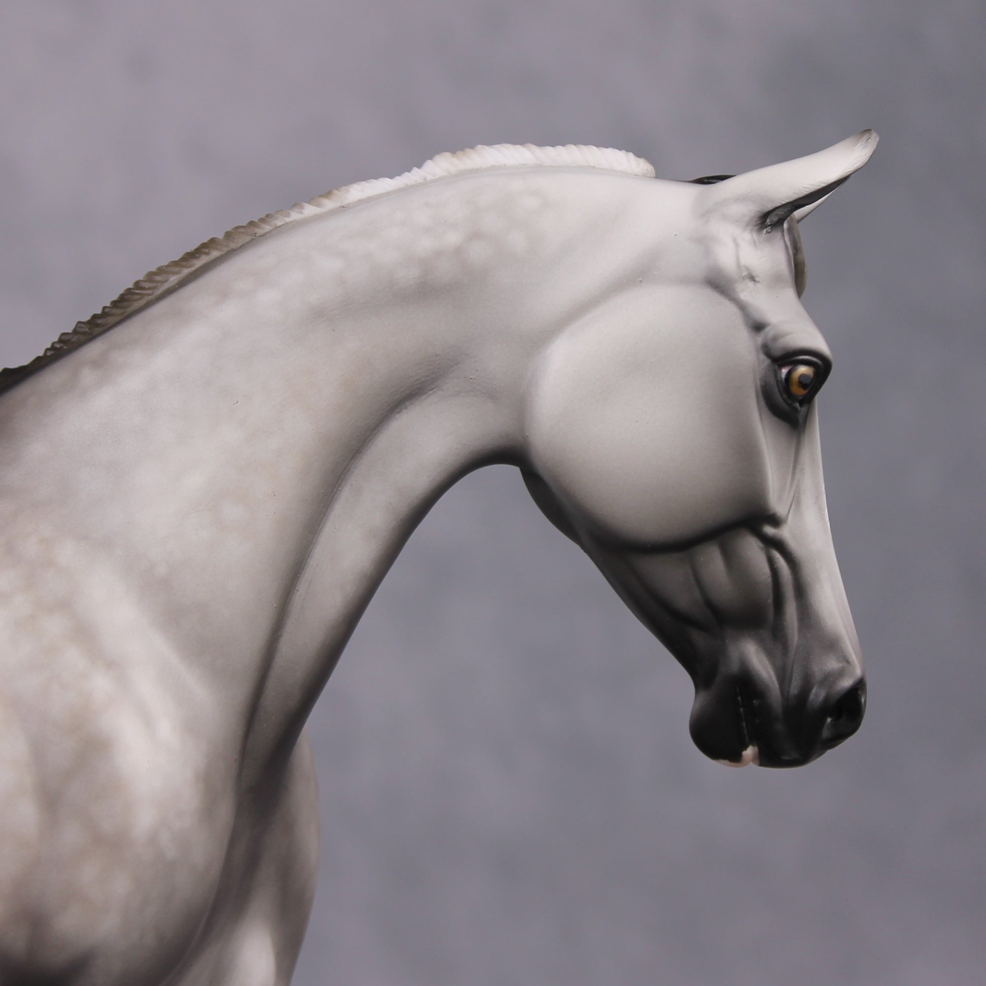 &quot;Argentate&quot; OOAK Custom Dapple Grey Palouse By Sheryl Leisure Best Offer 03/04/2025