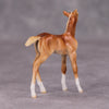 PREVIEW LISTING ONLY Sprinkle of Paprika OOAK Chestnut Foal Chip By Ellen Robbins MM24 Online Drawing Piece