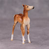 PREVIEW LISTING ONLY Sprinkle of Paprika OOAK Chestnut Foal Chip By Ellen Robbins MM24 Online Drawing Piece