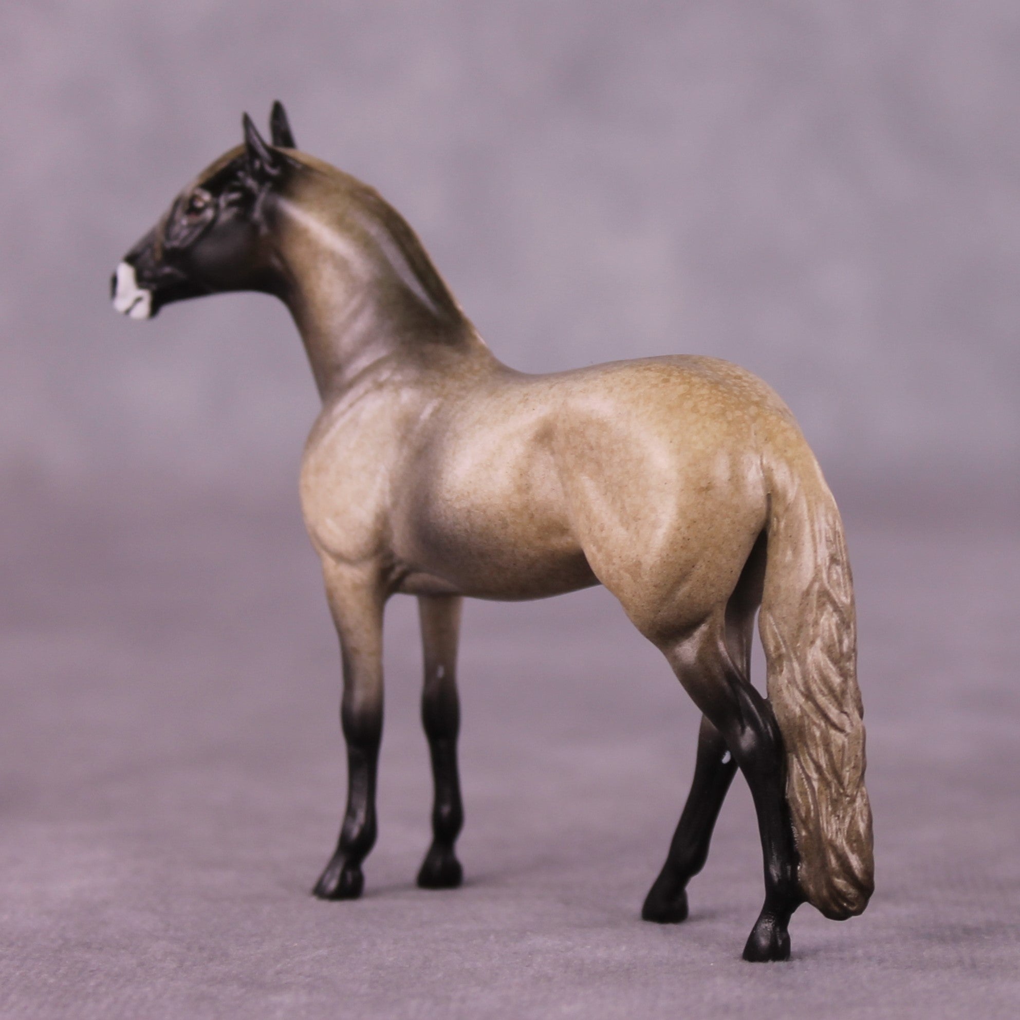 "Sheepish" OOAK Andalusian Chip By Jess Hamill - Menagerie Series