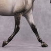 &quot;Argentate&quot; OOAK Custom Dapple Grey Palouse By Sheryl Leisure Best Offer