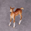 PREVIEW LISTING ONLY Sprinkle of Paprika OOAK Chestnut Foal Chip By Ellen Robbins MM24 Online Drawing Piece