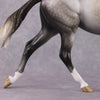 &quot;Argentate&quot; OOAK Custom Dapple Grey Palouse By Sheryl Leisure Best Offer