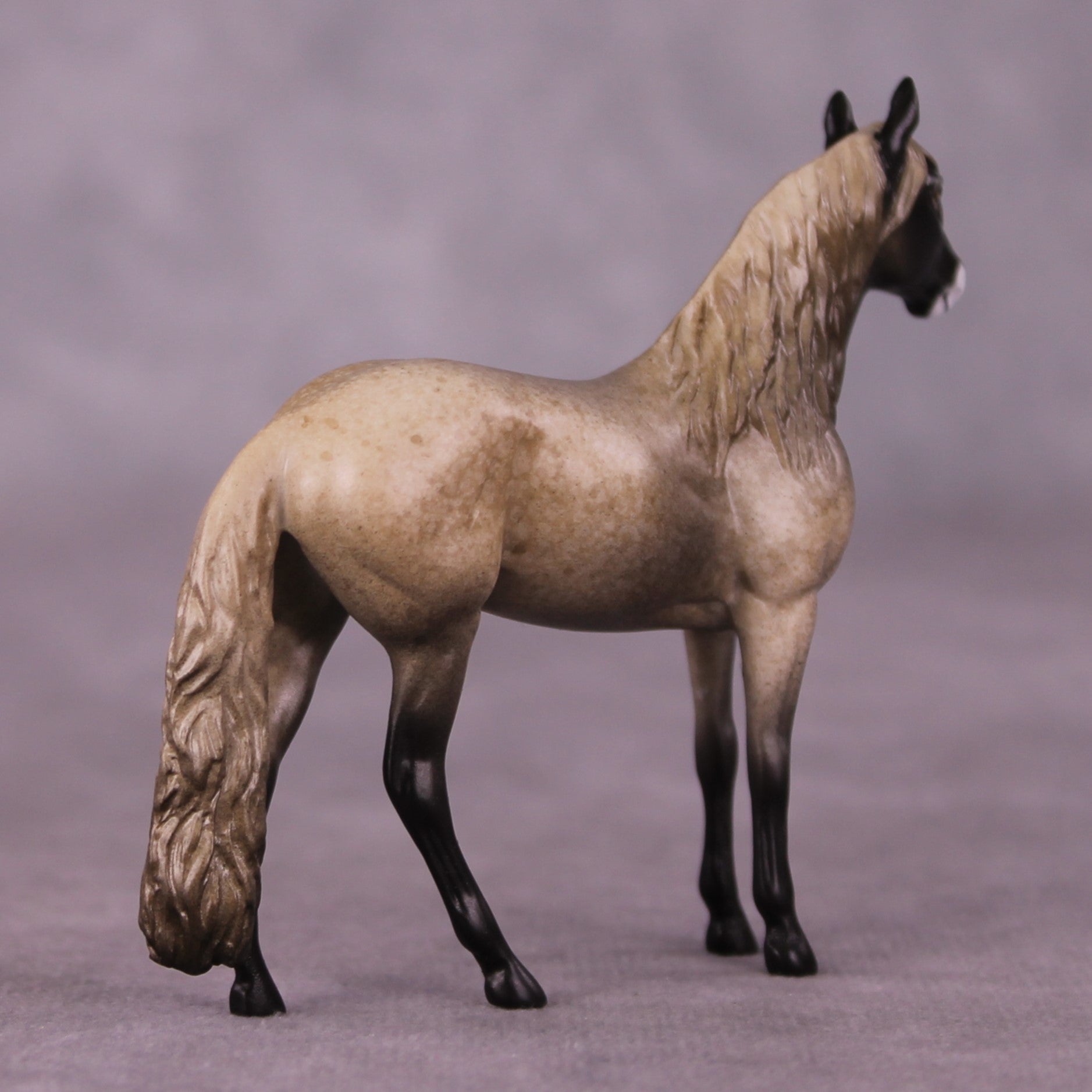 "Sheepish" OOAK Andalusian Chip By Jess Hamill - Menagerie Series