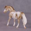 &quot;Tuddy&quot; OOAK FCM Pony Chip by Andrea Thomason SHCF25