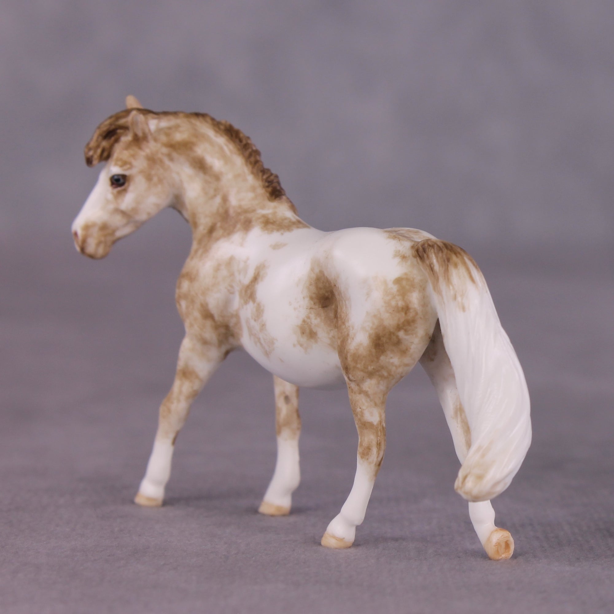 "Tuddy" OOAK FCM Pony Chip by Andrea Thomason SHCF25