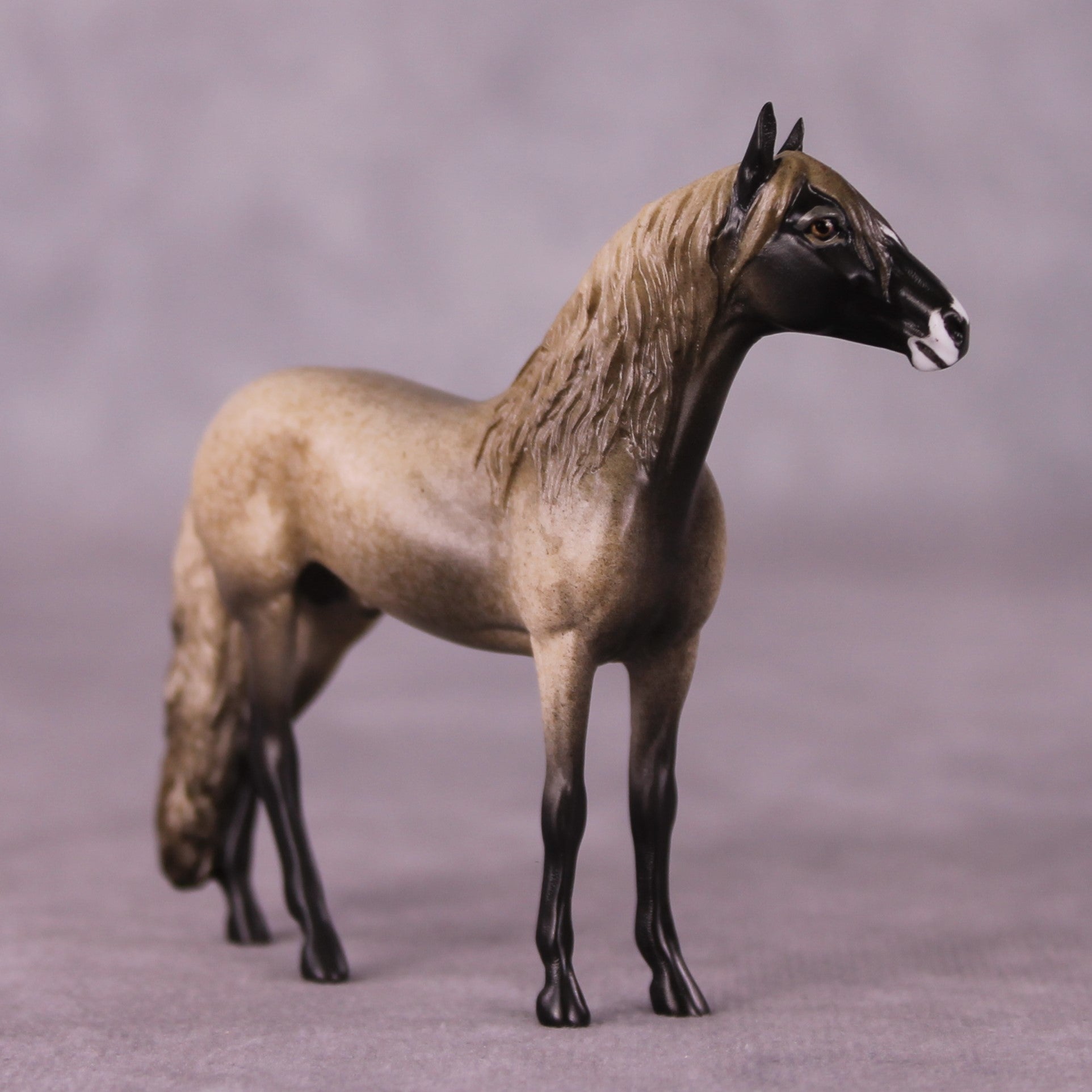 "Sheepish" OOAK Andalusian Chip By Jess Hamill - Menagerie Series