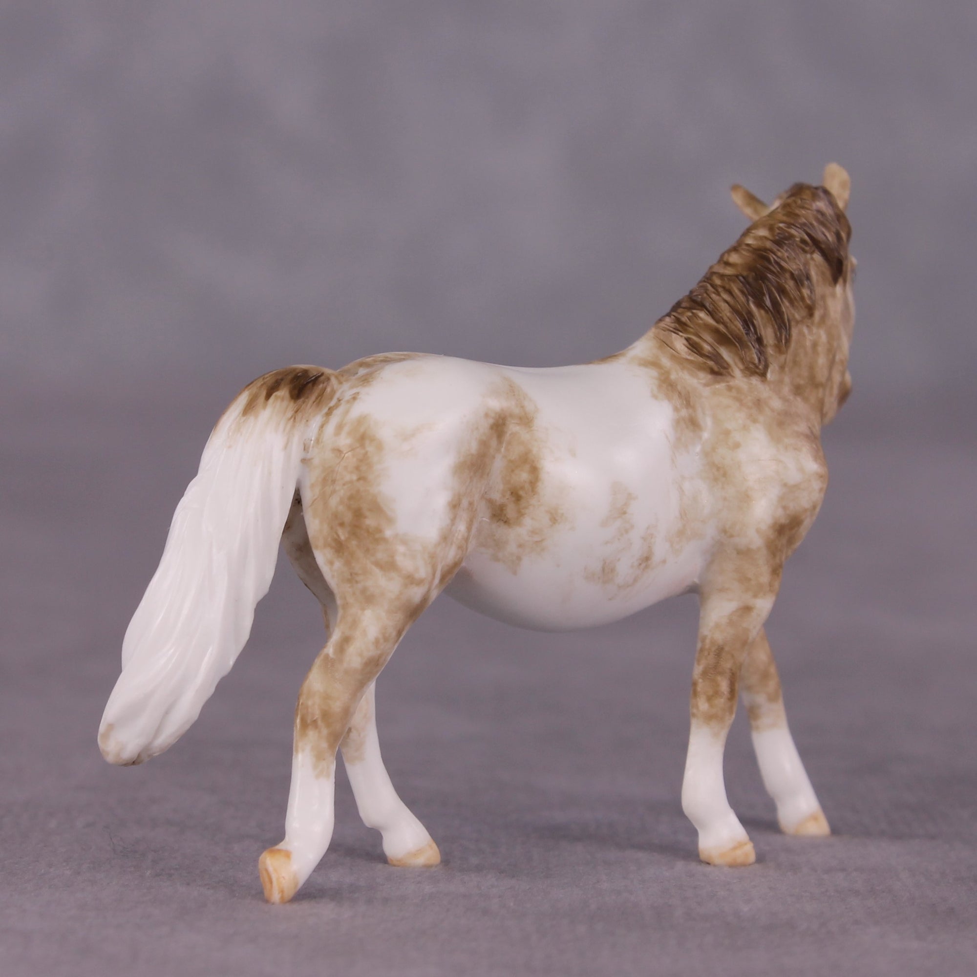 "Tuddy" OOAK FCM Pony Chip by Andrea Thomason SHCF25