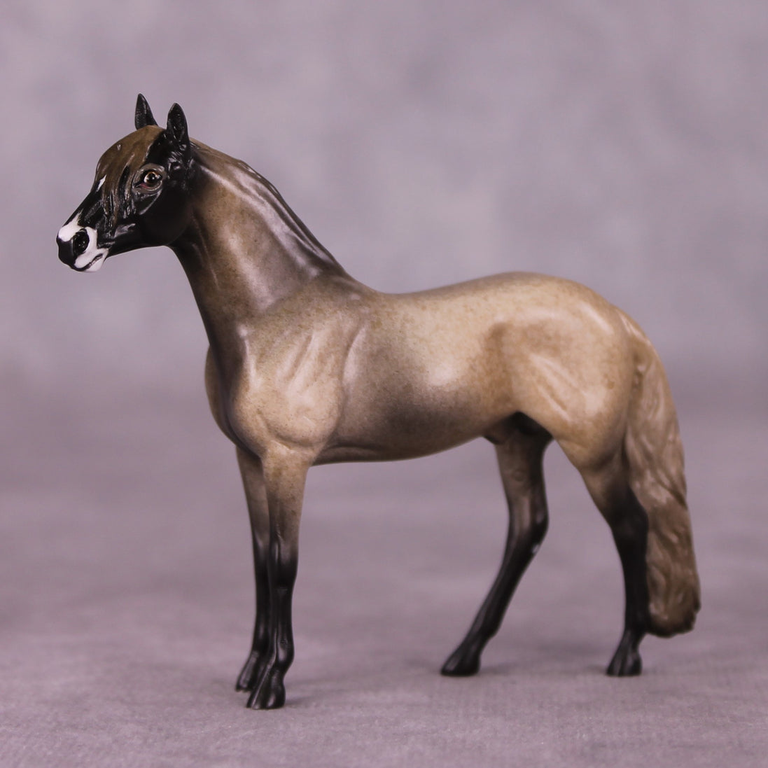 "Sheepish" OOAK Andalusian Chip By Jess Hamill - Menagerie Series