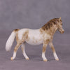 &quot;Tuddy&quot; OOAK FCM Pony Chip by Andrea Thomason SHCF25