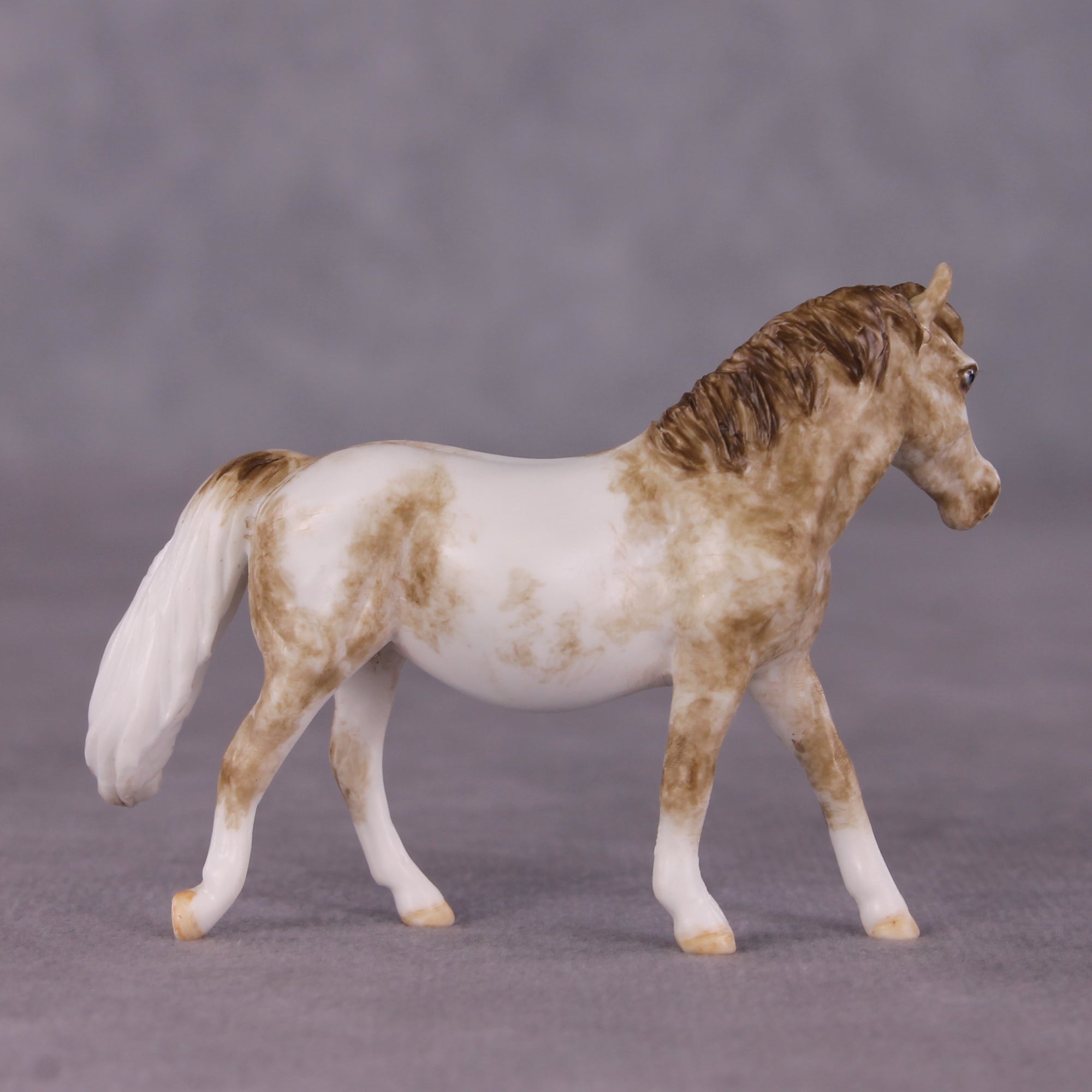 "Tuddy" OOAK FCM Pony Chip by Andrea Thomason SHCF25