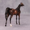 Preview Listing Only Misty Fall Morning OOAK Bay Going Grey Arabian Chip By Ashley Palmer MM24