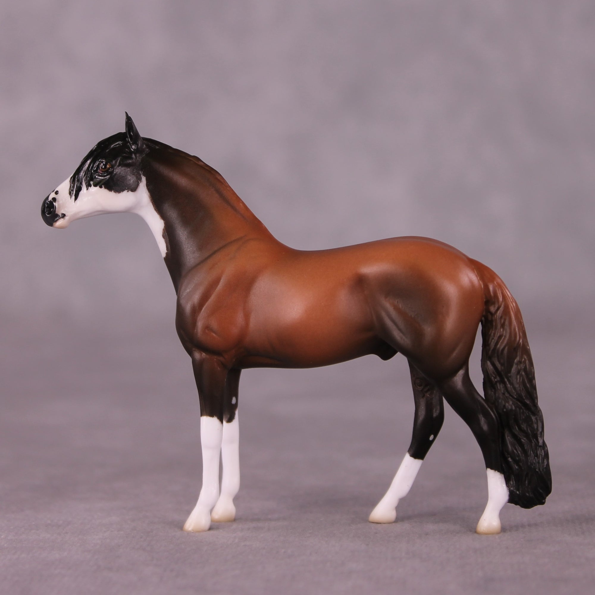 "Count On Me" OOAK Andalusian Chip By Jess Hamill - Menagerie Series