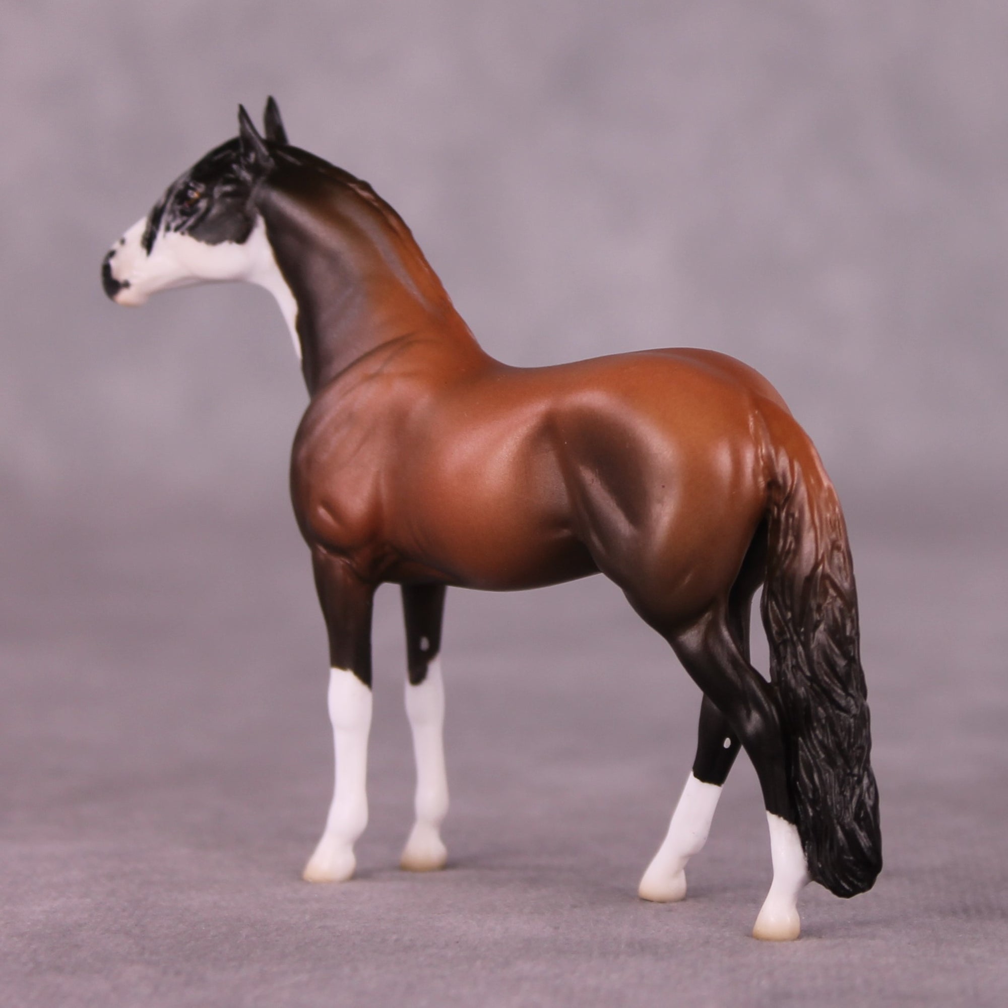 "Count On Me" OOAK Andalusian Chip By Jess Hamill - Menagerie Series