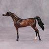 Preview Listing Only Misty Fall Morning OOAK Bay Going Grey Arabian Chip By Ashley Palmer MM24