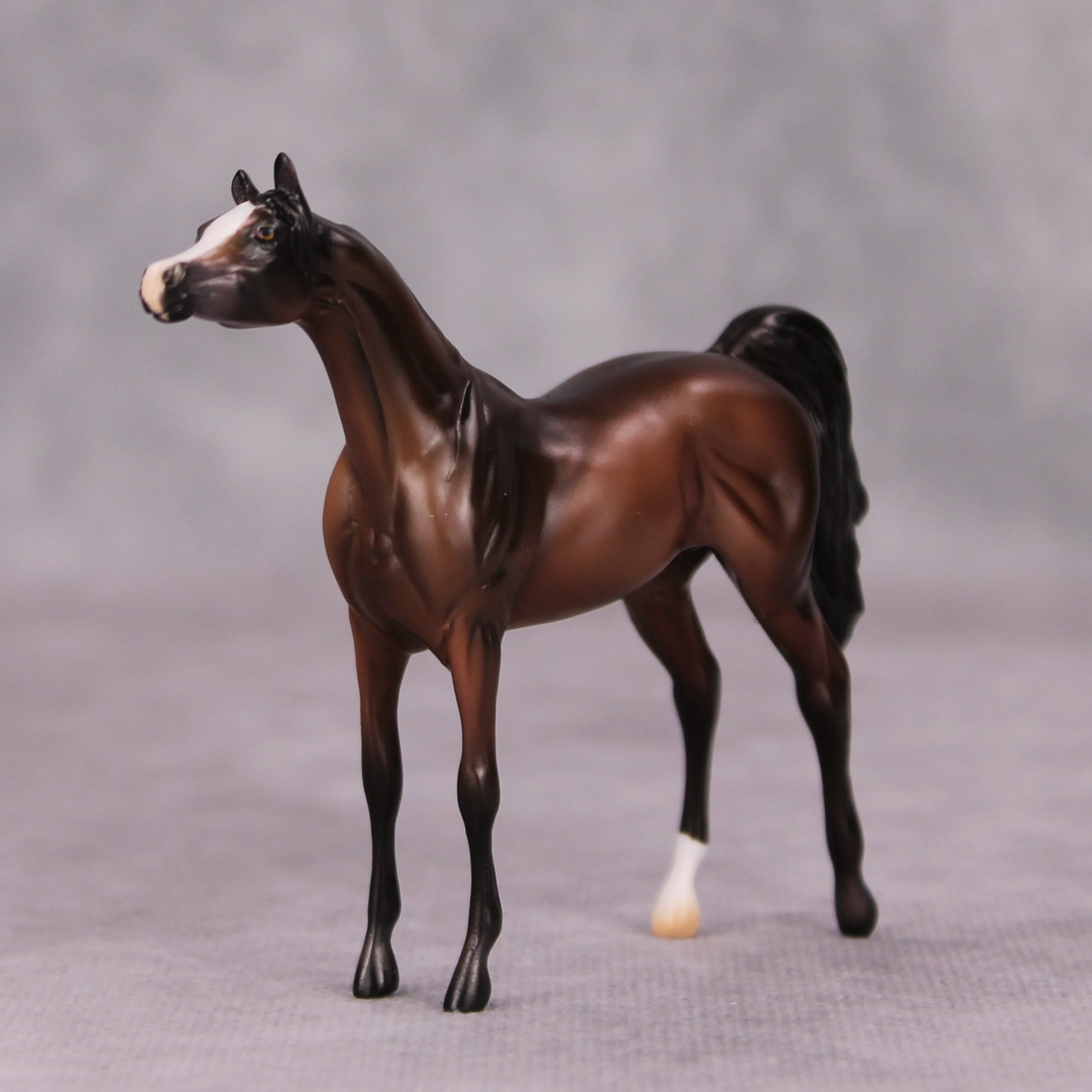 Misty Fall Morning OOAK Bay Going Grey Arabian Chip By Ashley Palmer MM24