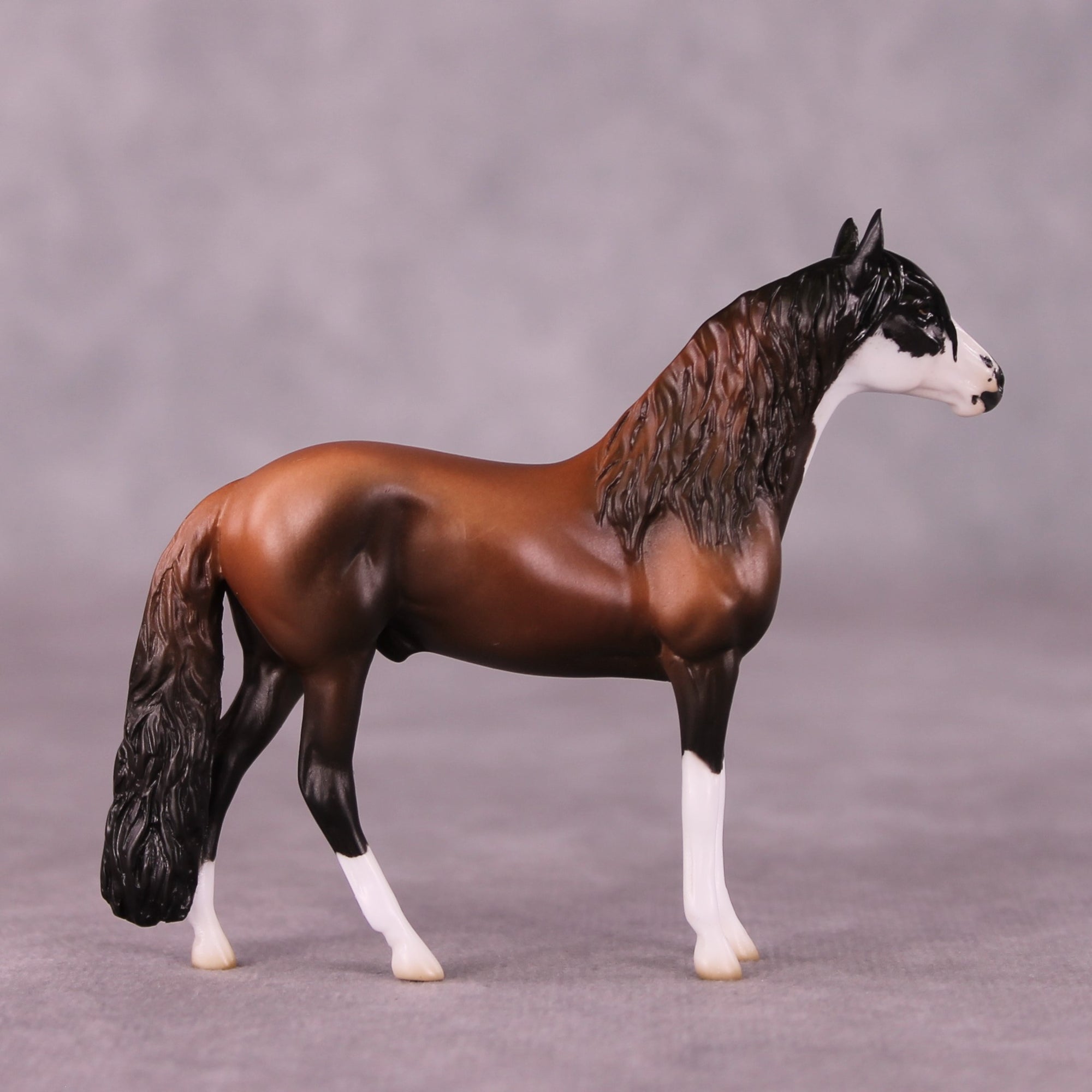"Count On Me" OOAK Andalusian Chip By Jess Hamill - Menagerie Series