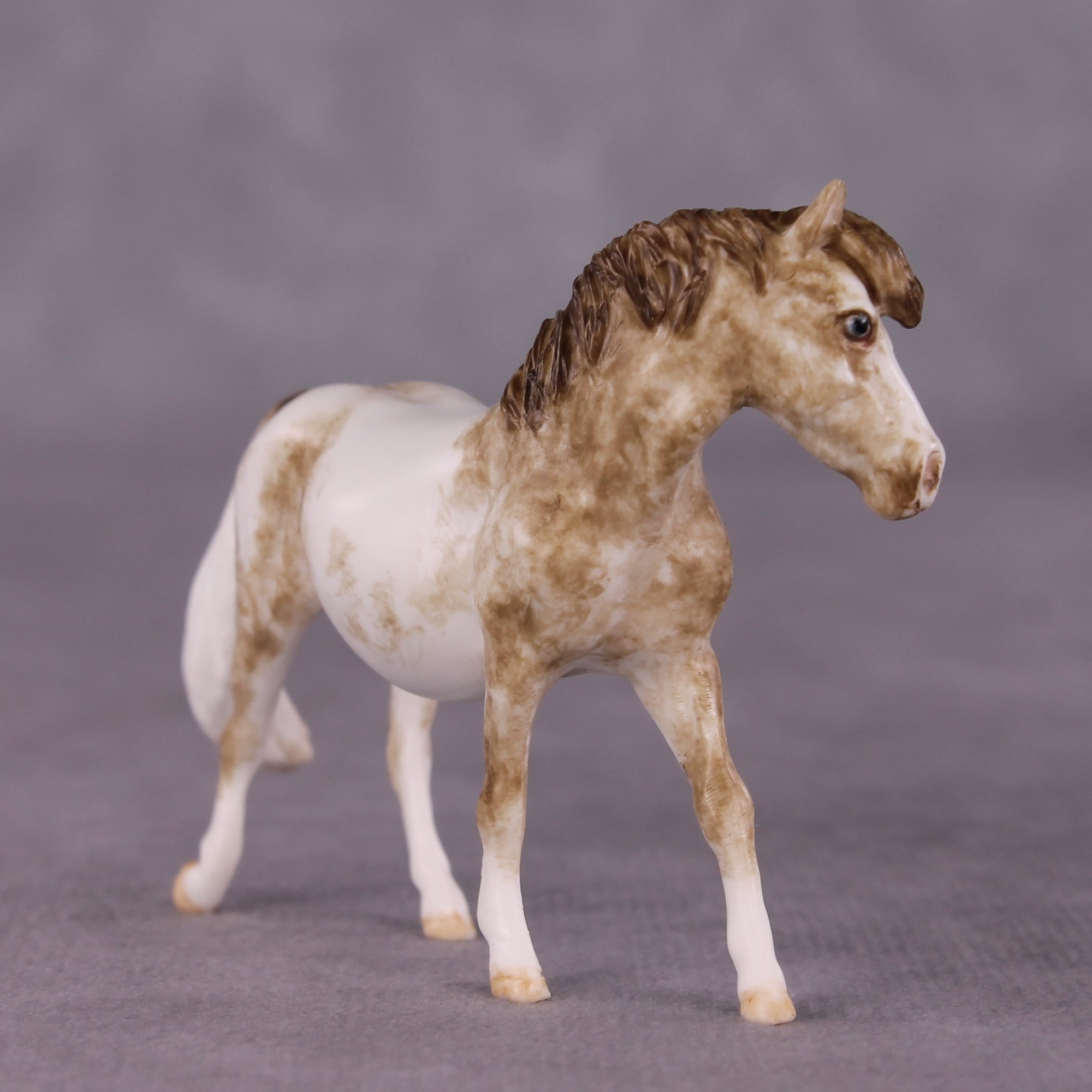 "Tuddy" OOAK FCM Pony Chip by Andrea Thomason SHCF25