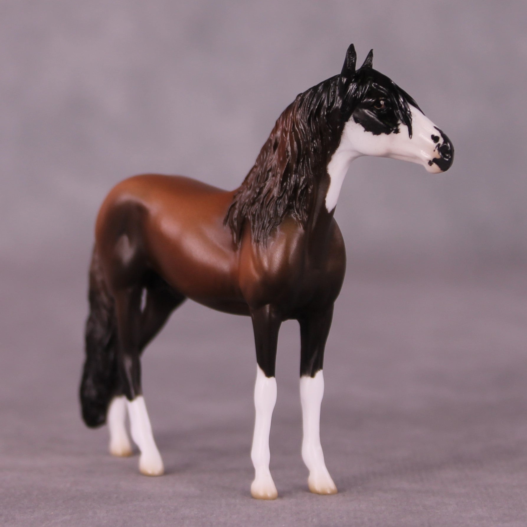 "Count On Me" OOAK Andalusian Chip By Jess Hamill - Menagerie Series