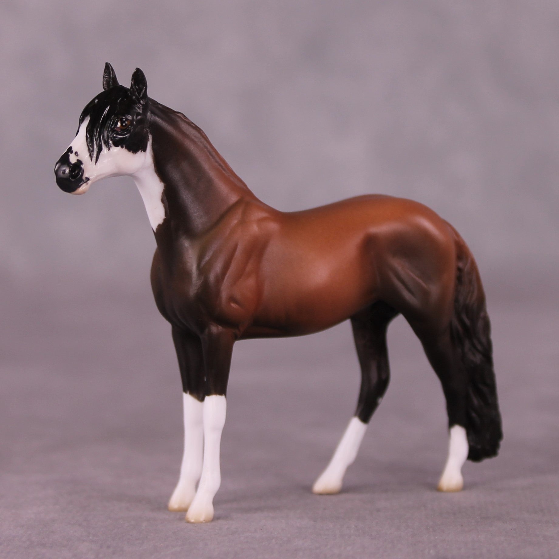 "Count On Me" OOAK Andalusian Chip By Jess Hamill - Menagerie Series