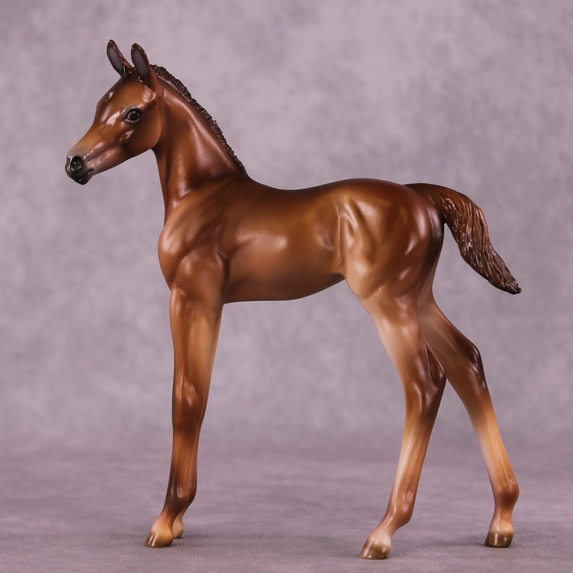 "Twinkle" OOAK FCM Arab Foal by Julie Keim Auction EQ25 07/15/25