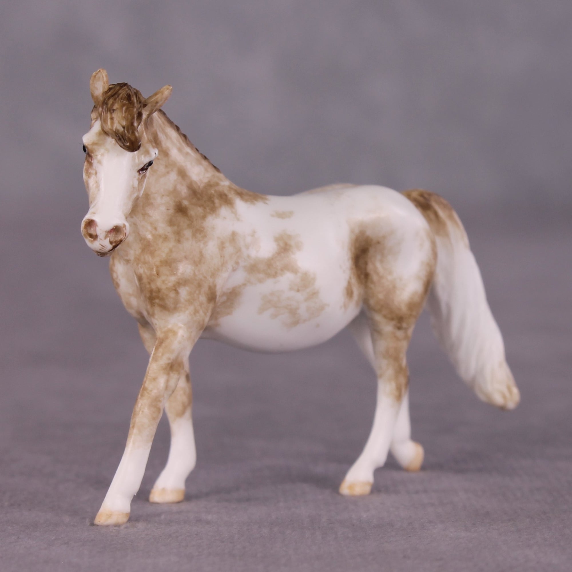 "Tuddy" OOAK FCM Pony Chip by Andrea Thomason SHCF25
