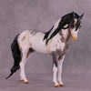 Nandor OOAK EFCM Andalusian by Kristen Cermele Best Offer 10/7/25