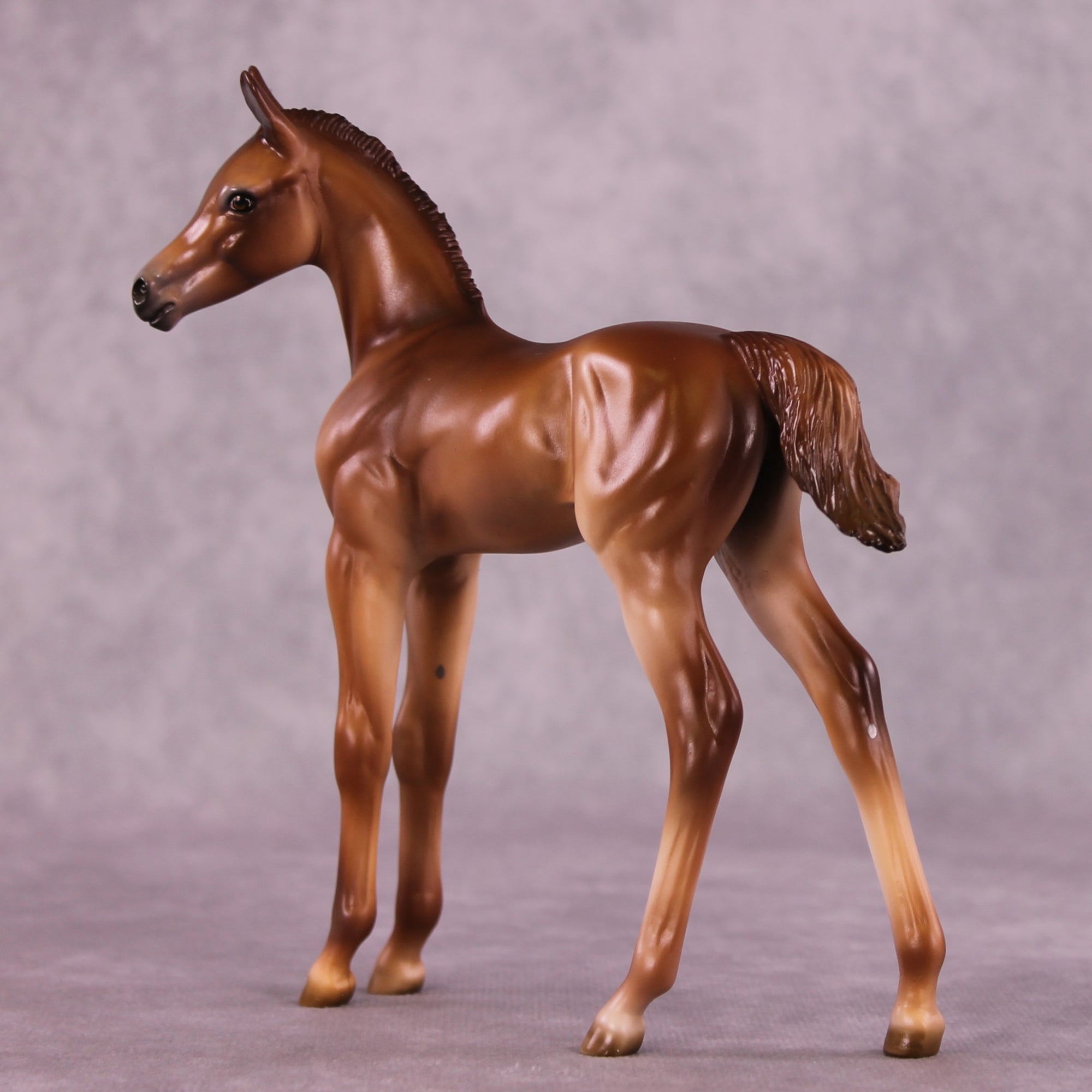 "Twinkle" OOAK FCM Arab Foal by Julie Keim Auction EQ25 07/15/25