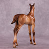&quot;Twinkle&quot; OOAK FCM Arab Foal by Julie Keim Auction EQ25 07/15/25