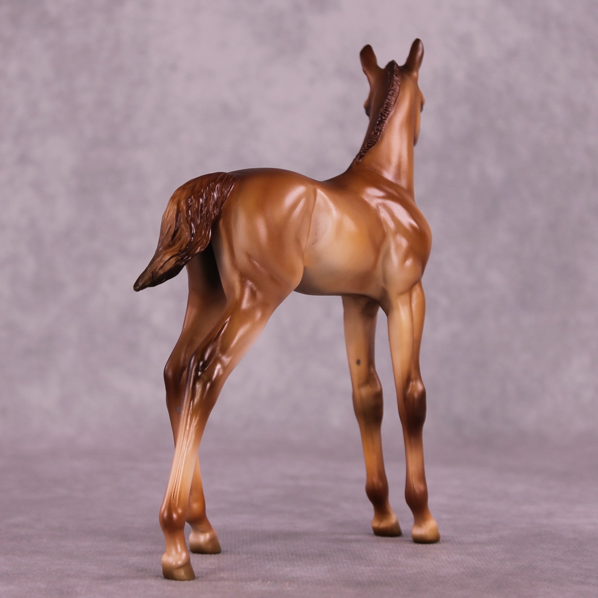 "Twinkle" OOAK FCM Arab Foal by Julie Keim Auction EQ25 07/15/25