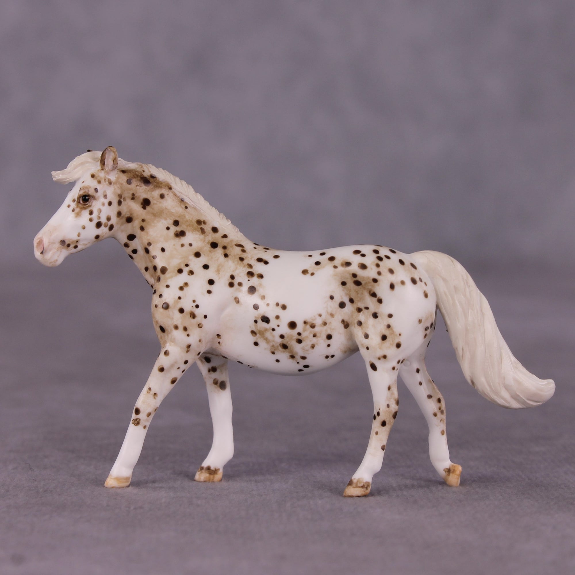 "Toggle" OOAK FCM Pony Chip by Andrea Thomason SHCF25