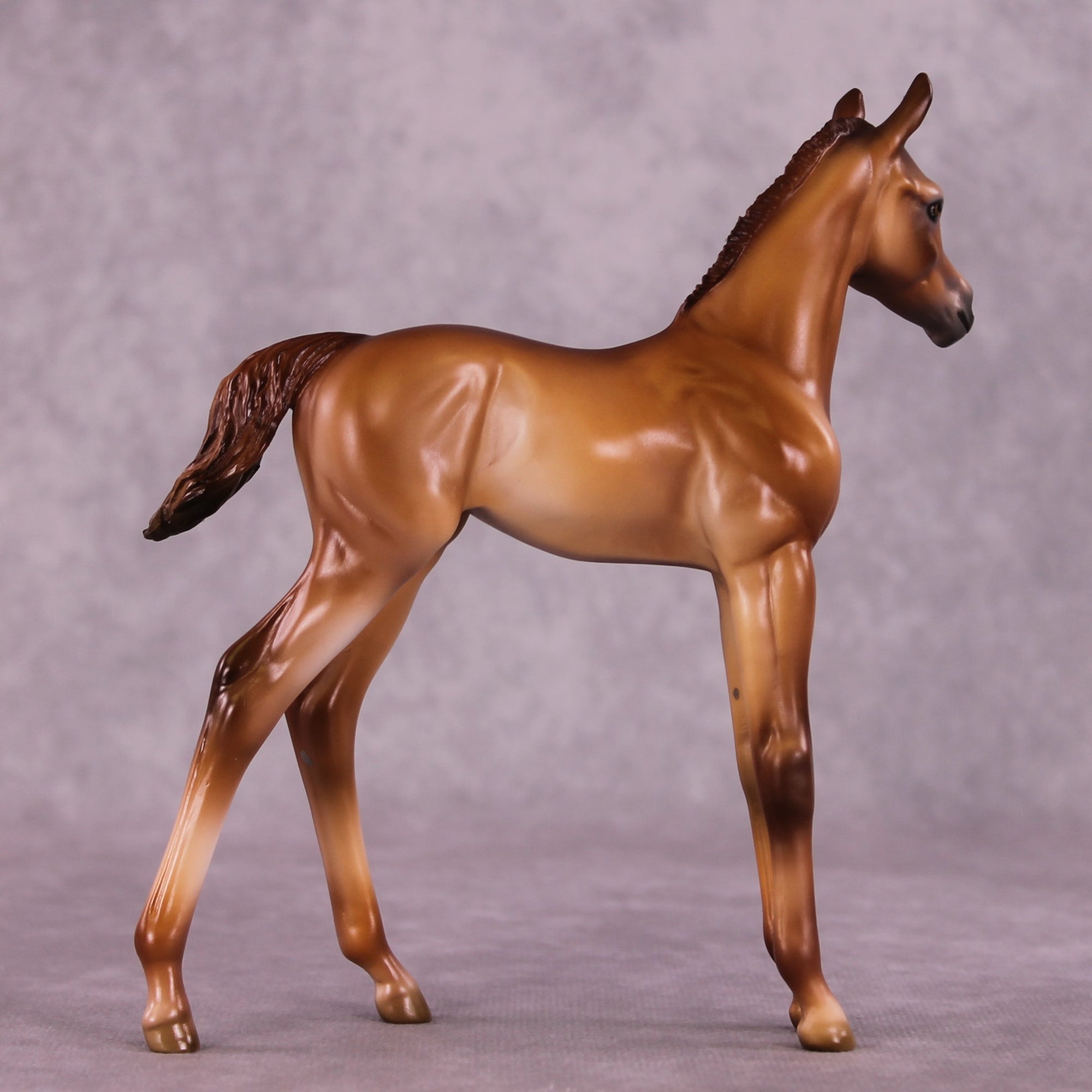 "Twinkle" OOAK FCM Arab Foal by Julie Keim Auction EQ25 07/15/25