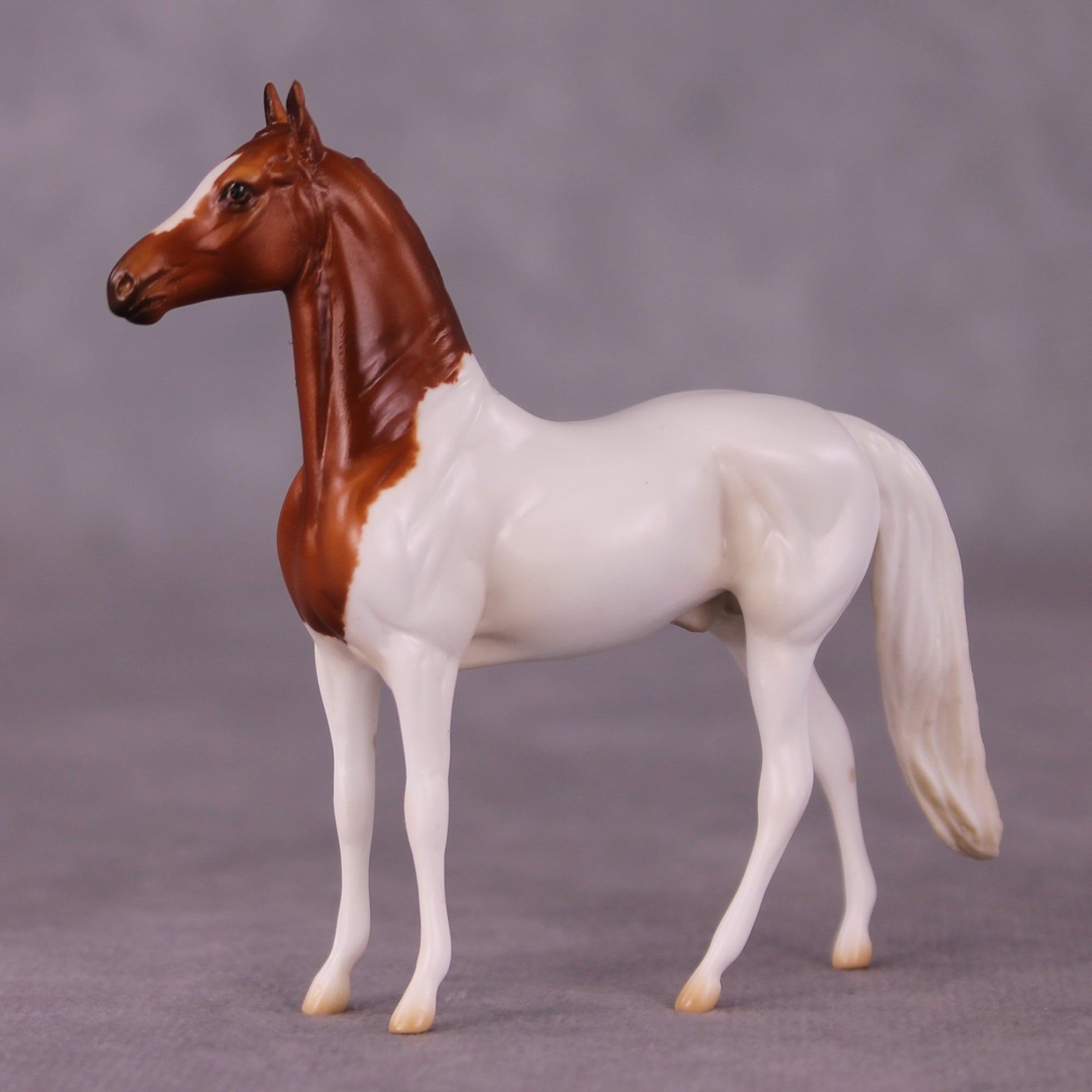 "Greatest Of All Time" OOAK Morgan Chip By Jess Hamill - Menagerie Series