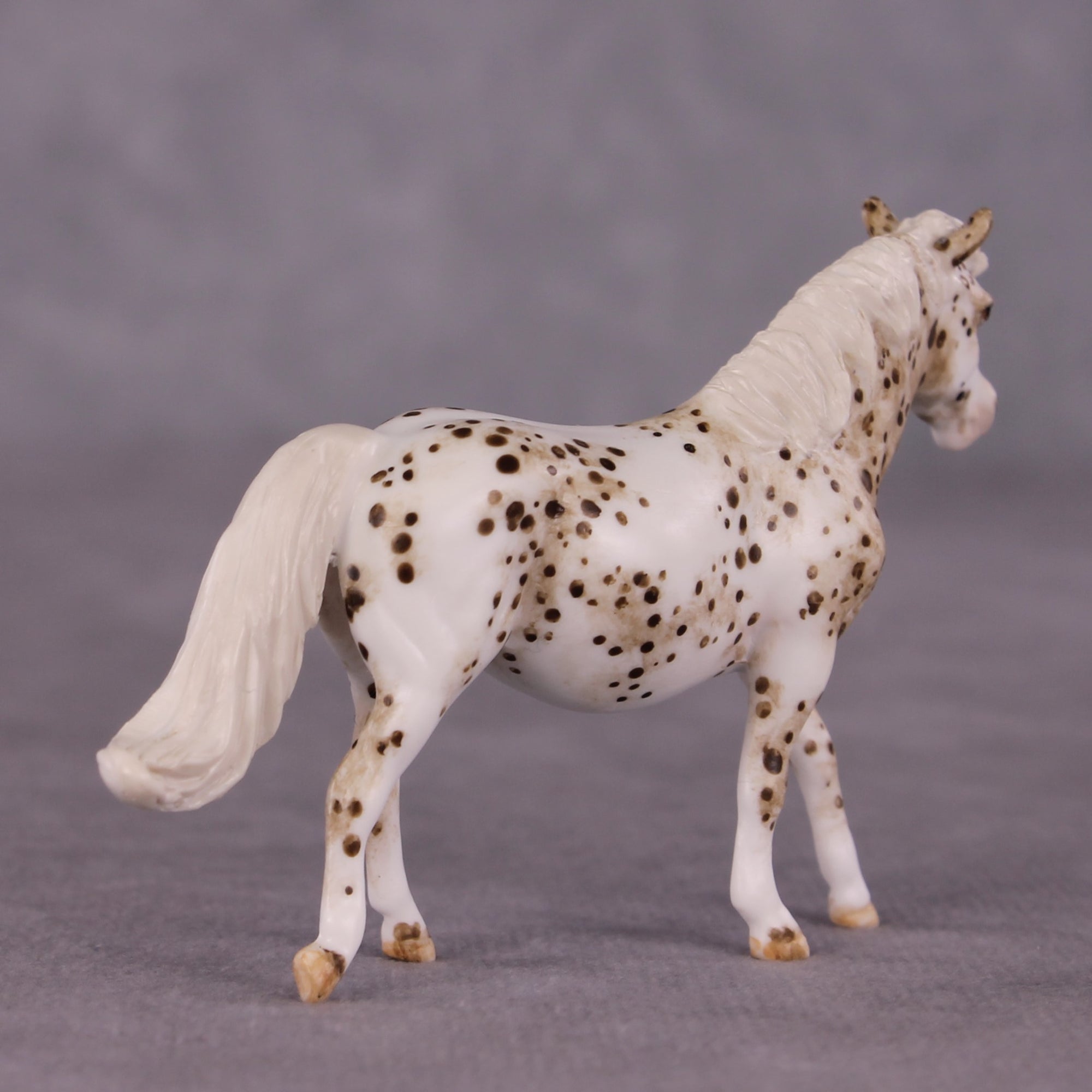 "Toggle" OOAK FCM Pony Chip by Andrea Thomason SHCF25