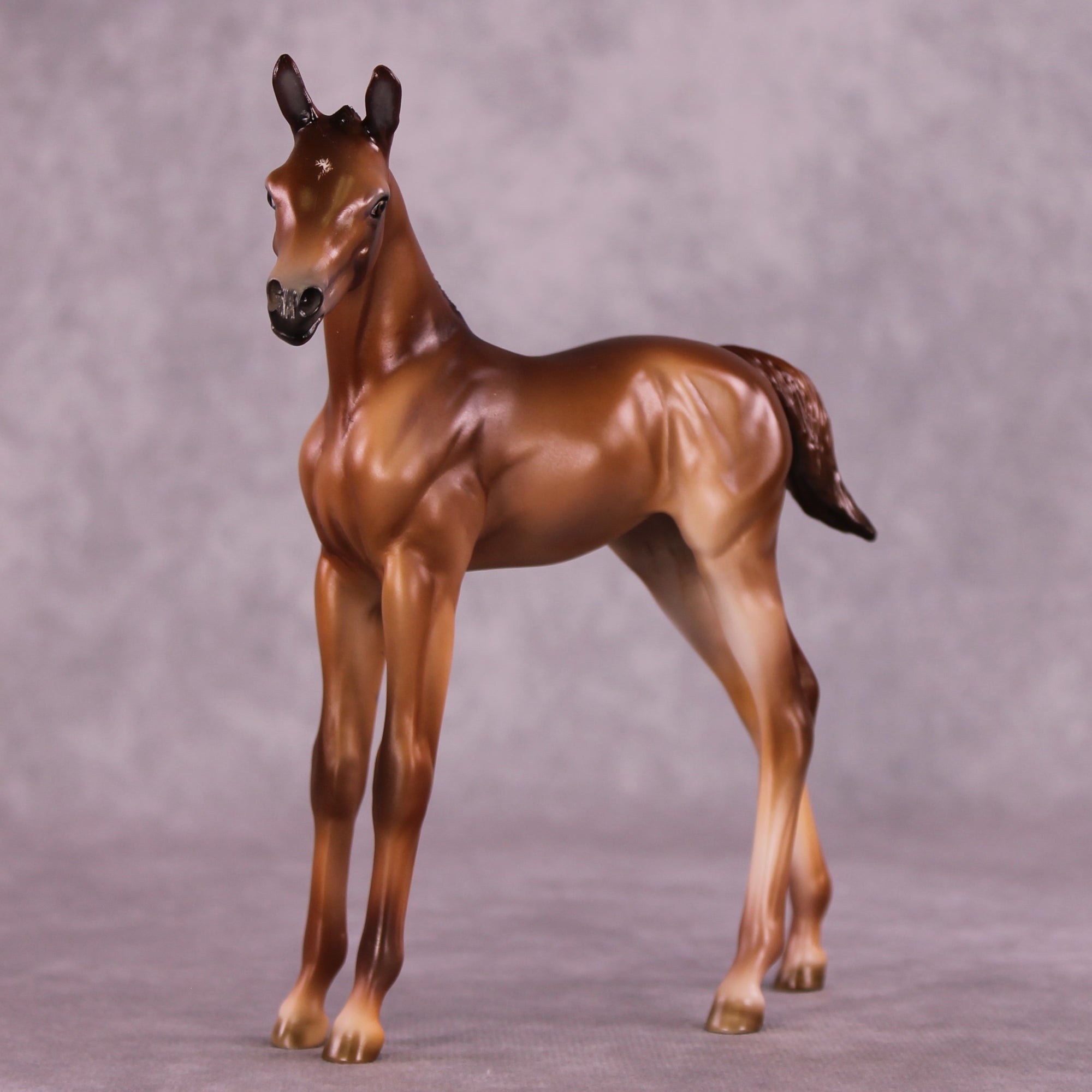 "Twinkle" OOAK FCM Arab Foal by Julie Keim Auction EQ25 07/15/25