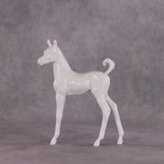 Design-A-Horse FCM Arabian Foal April Release DAH26 PM1667