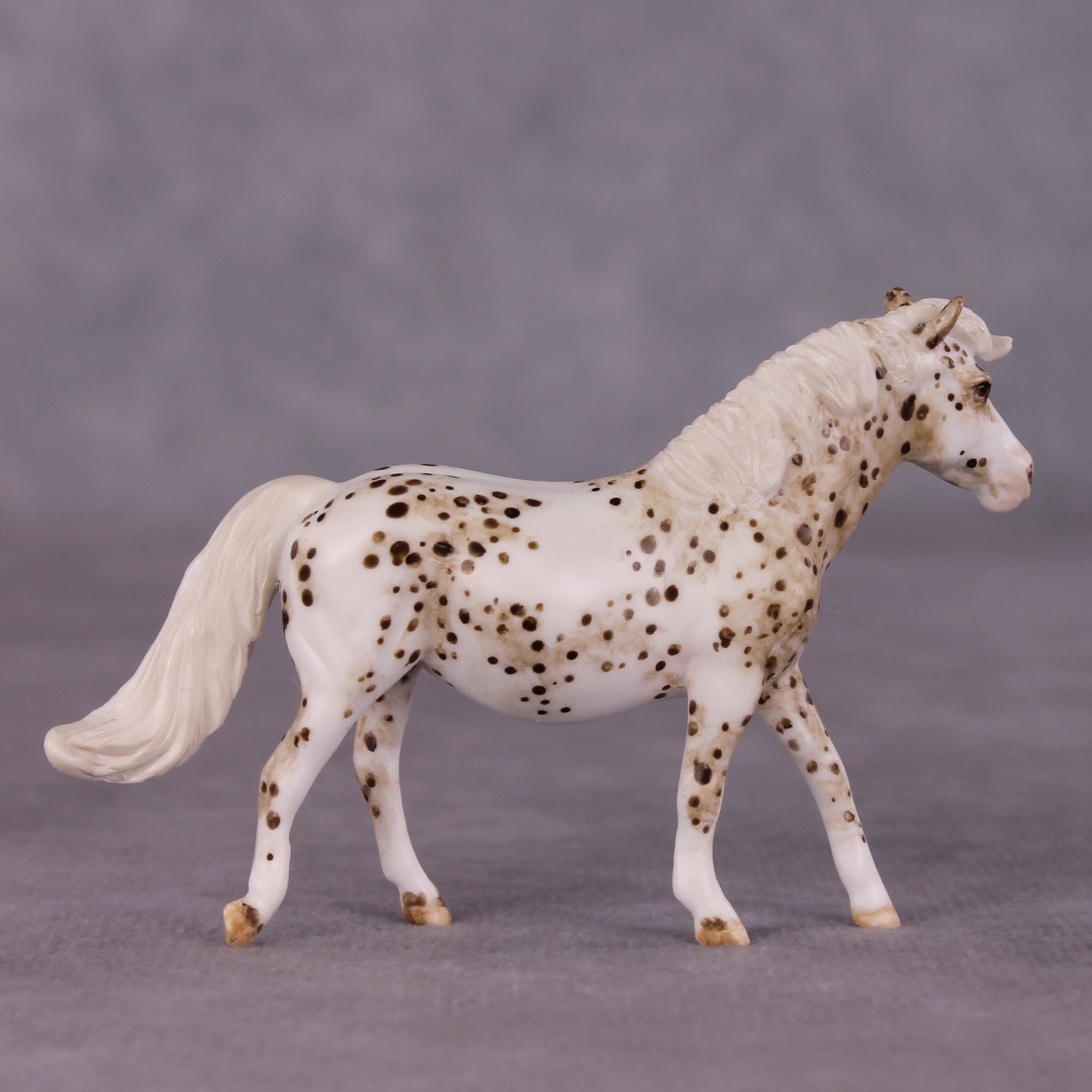 "Toggle" OOAK FCM Pony Chip by Andrea Thomason SHCF25