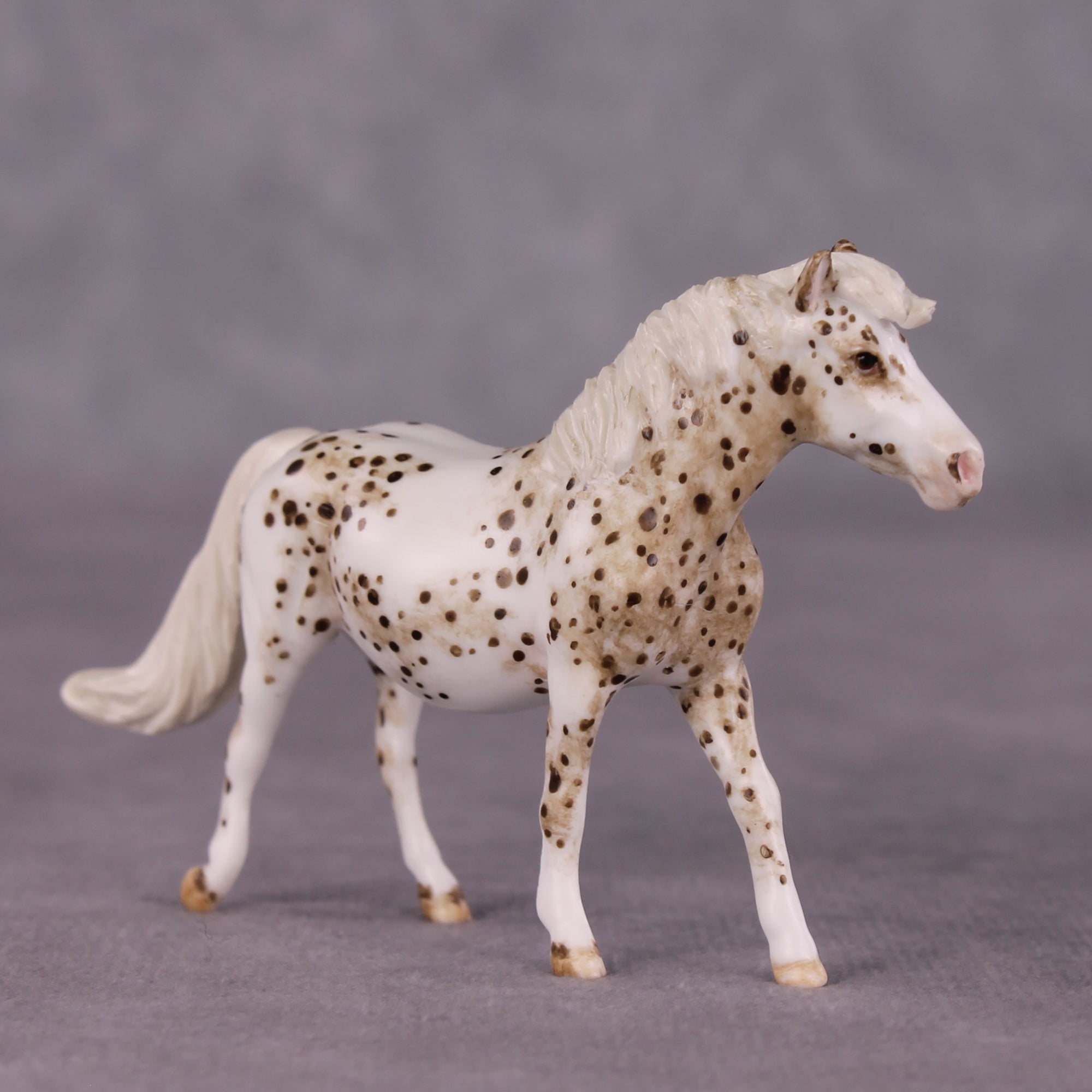 "Toggle" OOAK FCM Pony Chip by Andrea Thomason SHCF25