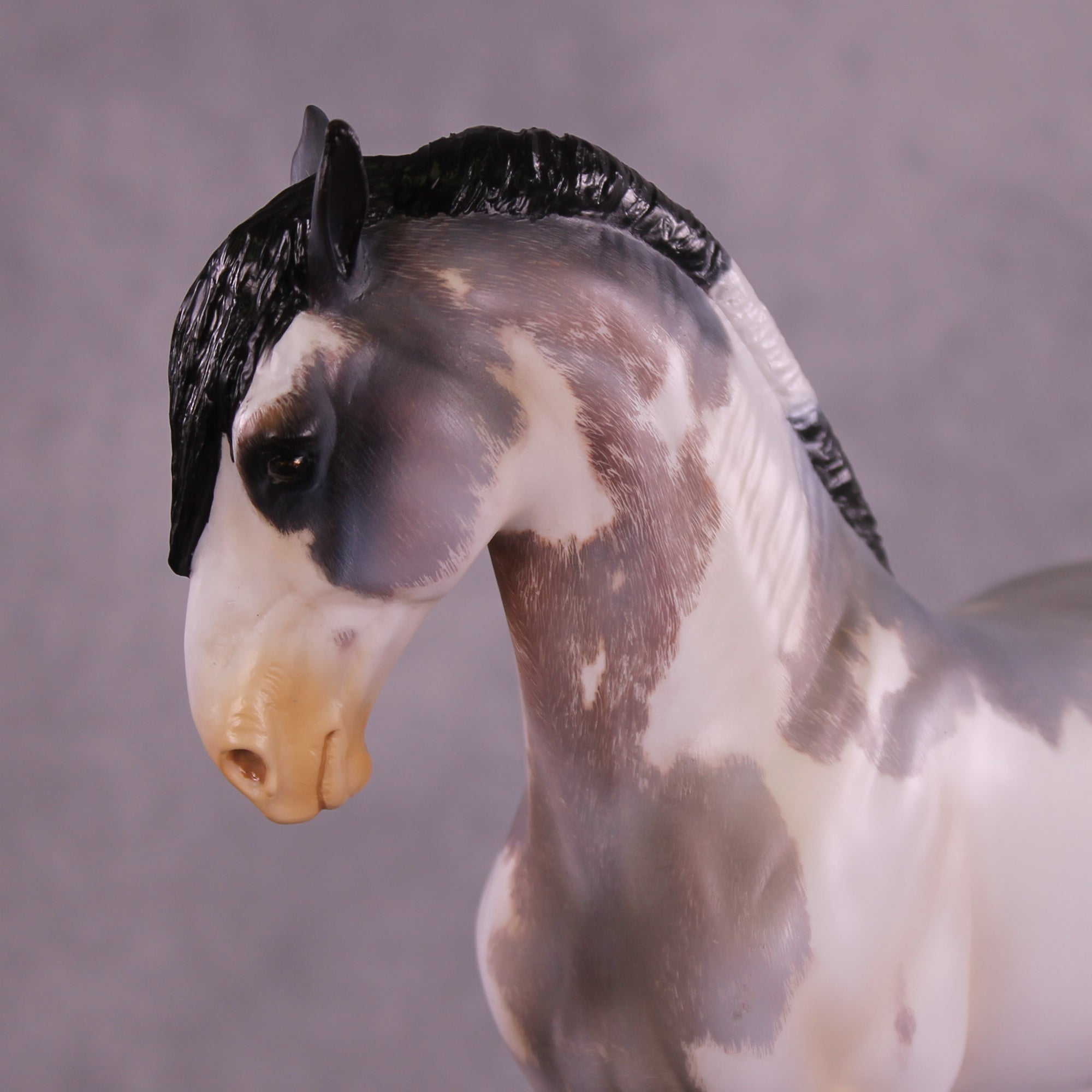 Nandor OOAK EFCM Andalusian by Kristen Cermele Best Offer 10/7/25