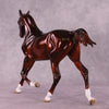 &quot;Timbre&quot; OOAK FCM Arabian Yearling by Julie Keim Auction EQ25 07/15/25