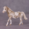 &quot;Toggle&quot; OOAK FCM Pony Chip by Andrea Thomason SHCF25
