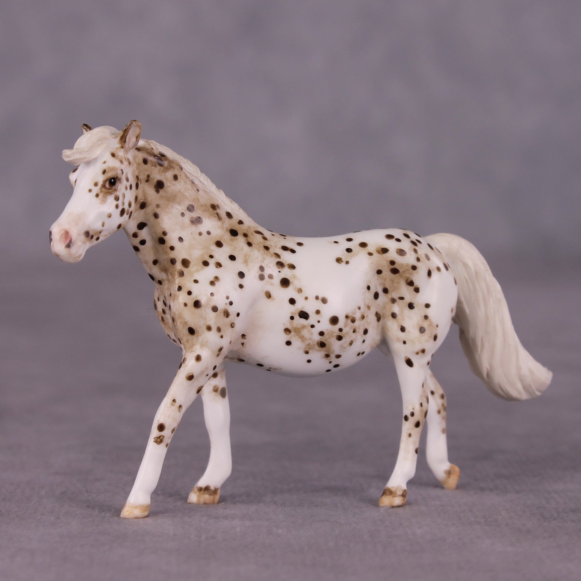 "Toggle" OOAK FCM Pony Chip by Andrea Thomason SHCF25