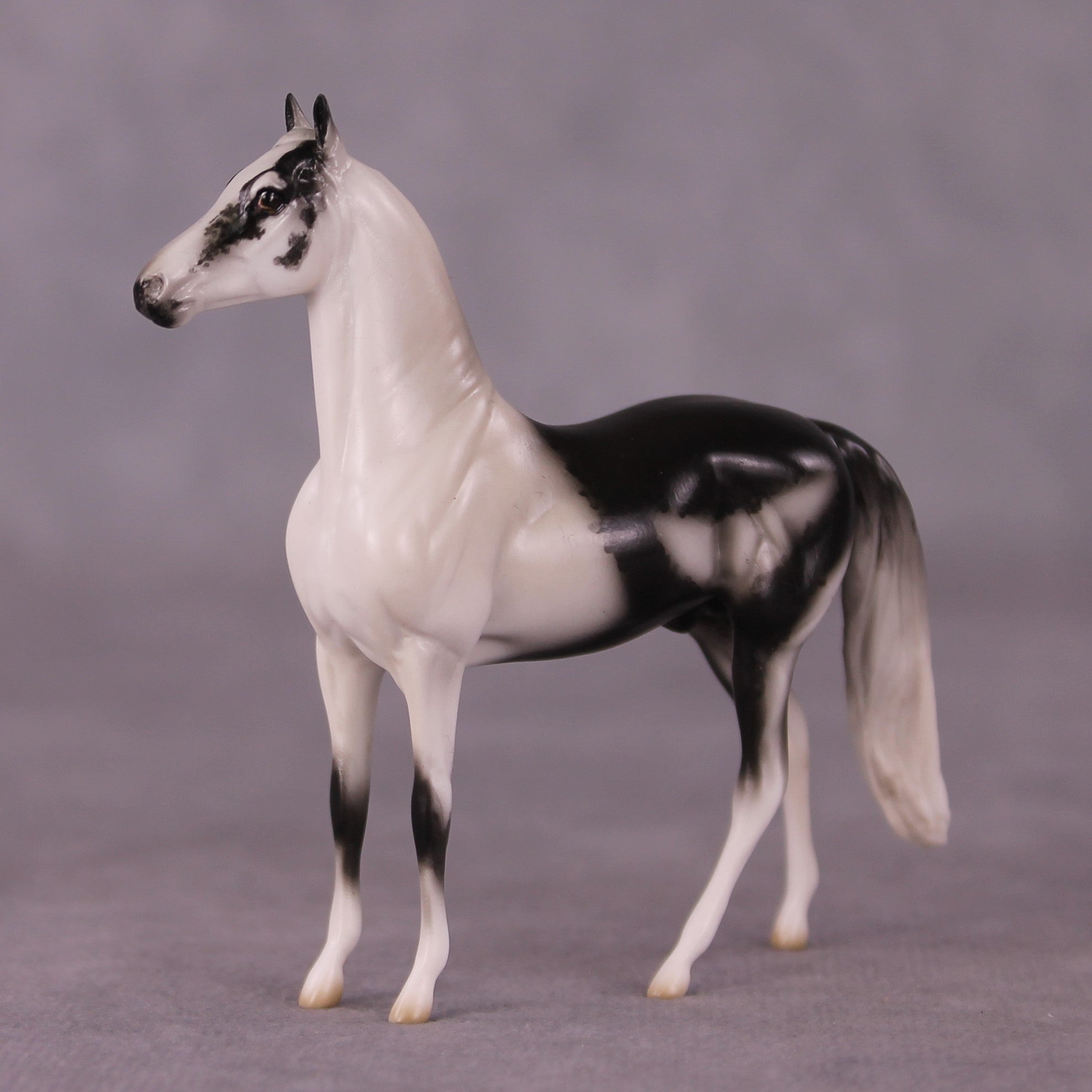 "Cou Blanc" OOAK Morgan Chip By Jess Hamill - Menagerie Series