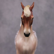 Stone Horses February DAH Special Design Pattern - Friday the 14th Valentine's Day - 02/14/25